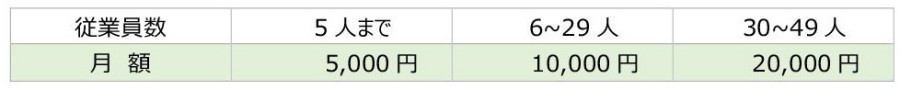 修正　初回導入費用　給与賞与保険事務